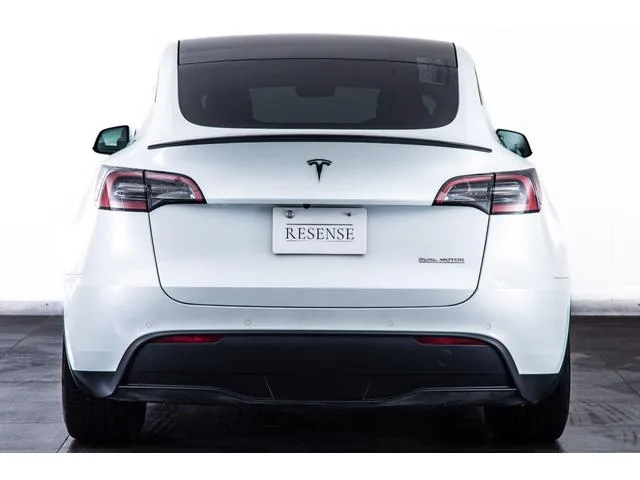 Tesla Model Y PERFORMANCE 2022 — миниатюра 4