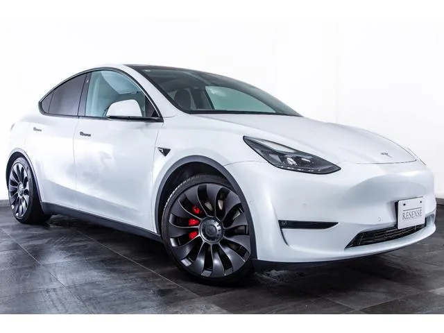 Tesla Model Y PERFORMANCE 2022 — миниатюра 5