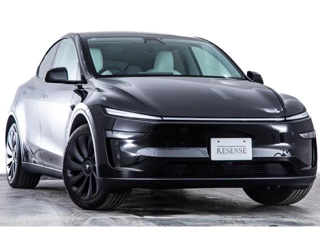 Tesla Model Y DUAL MOTOR AWD LONG RANGE 2025 — миниатюра 5