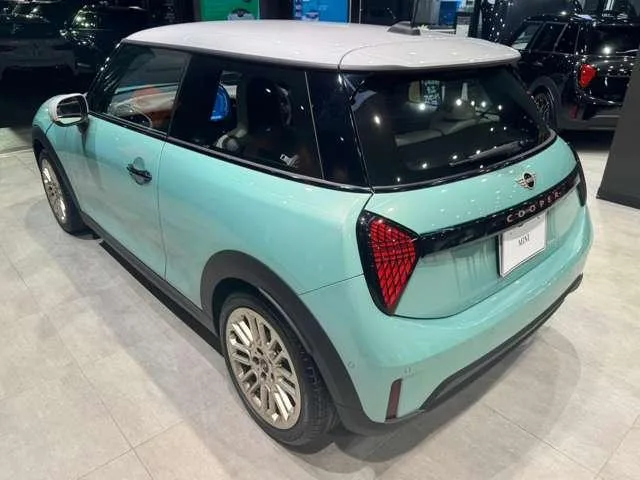 MINI MINI 2024 — миниатюра 5