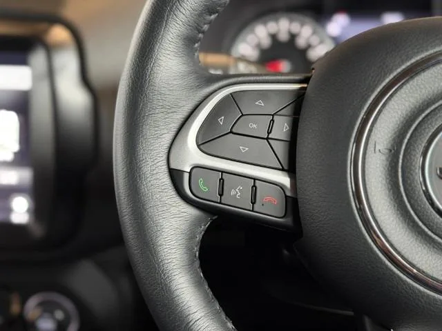 Chrysler Jeep JEEP RENEGADE LIMITED 2024 — миниатюра 3