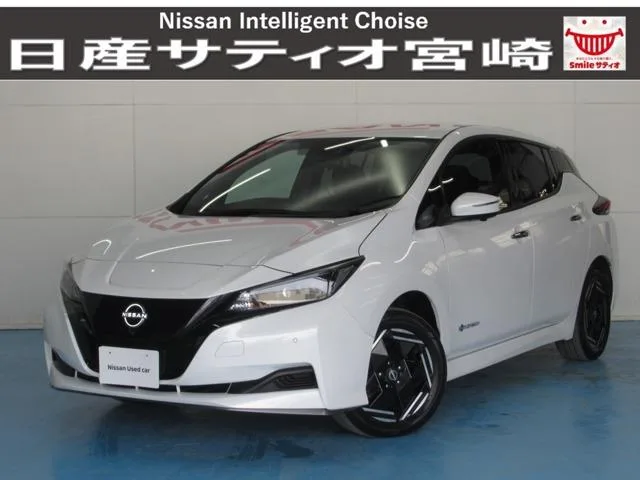 Nissan LEAF e+ X 2024 — фото 1, купить с доставкой в Москву