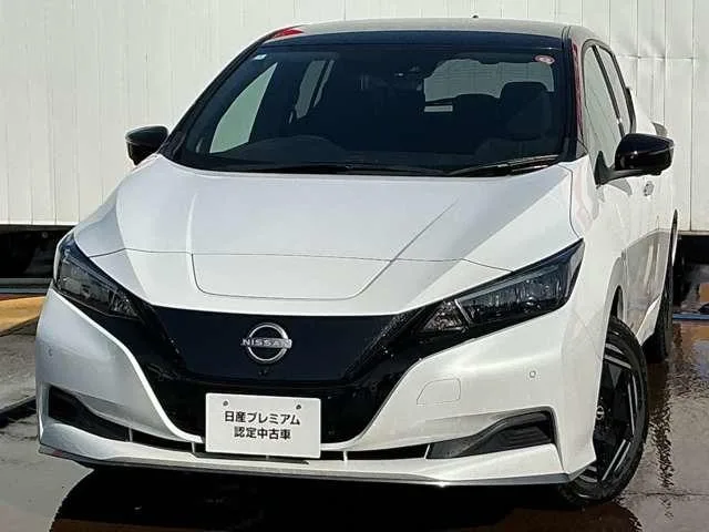 Nissan LEAF e+ X 2024 — фото 1, купить с доставкой в Москву