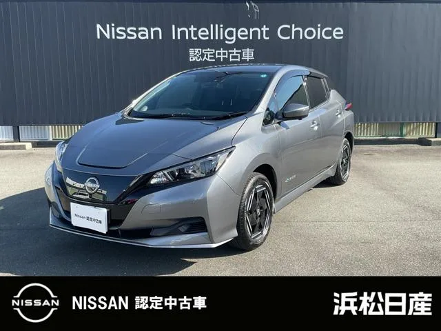 Nissan LEAF e+ X 2025 — фото 1, купить с доставкой в Москву