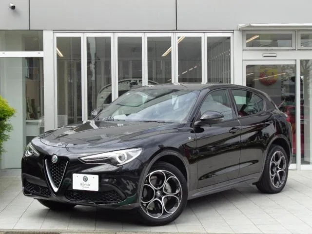 Alfa Romeo Stelvio 2.2 TURBO DIESEL Q4 TI 2022 — фото 1, купить с доставкой в Москву