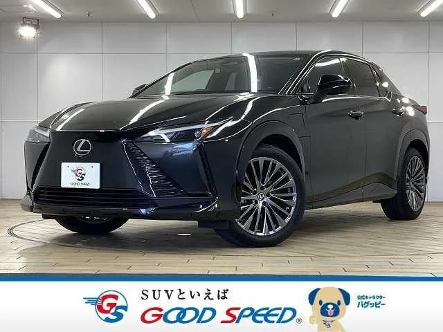 Lexus RZ RZ450E VERSION L 2023 — фото 1, купить с доставкой в Москву