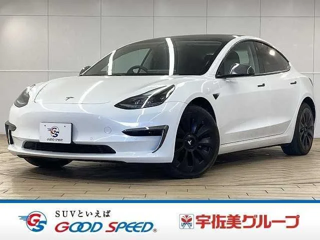 Tesla MODEL 3 RWD 2022 — фото 1, купить с доставкой в Москву