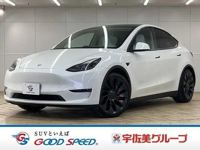 Tesla MODEL Y PERFORMANCE 2023 — фото 1, купить с доставкой в Москву