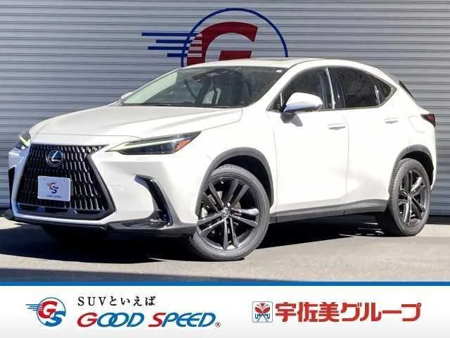 Lexus NX NX250 VERSION L 2023 — фото 1, купить с доставкой в Москву