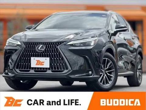Lexus NX 2024 купить в Москве