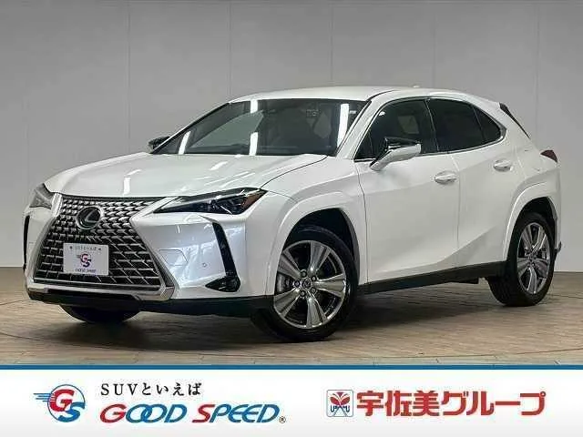 Lexus UX UX250H GRACEFUL EXPLORER 2023 — фото 1, купить с доставкой в Москву