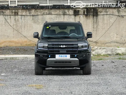 BYD FangChengBao Leopard 5 2026 buy in Moscow