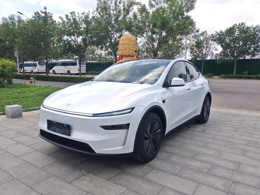 Tesla Model Y 2025 — фото 1, купить с доставкой в Москву