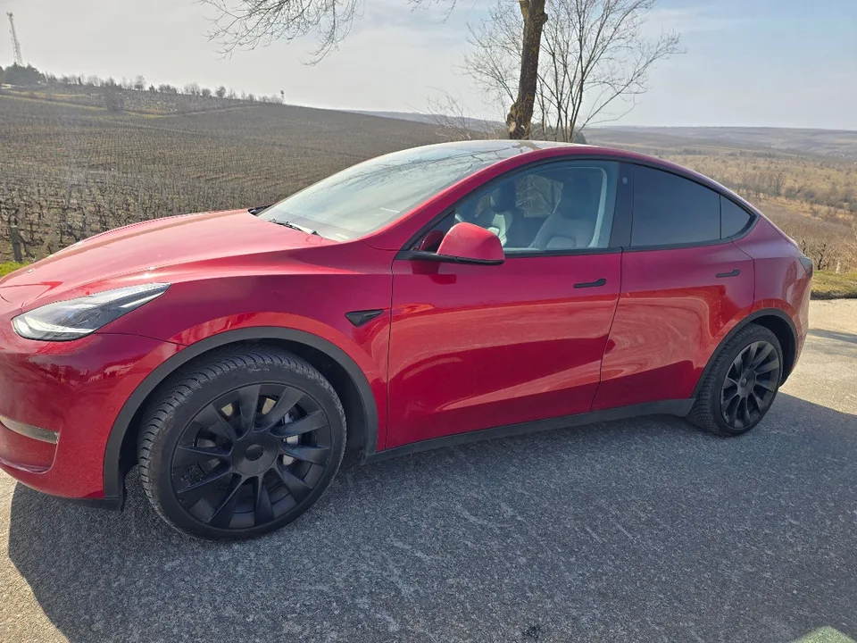 Tesla Model Y 2022 — фото 1, купить с доставкой в Москву