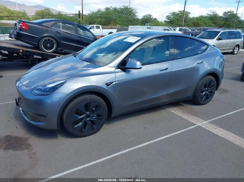Tesla Model Y 2024 — фото 1, купить с доставкой в Москву