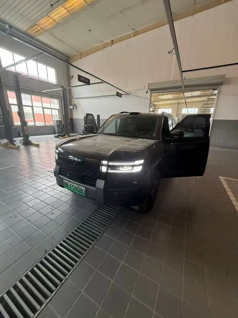 BYD Leopard 7 2025 buy in Moscow