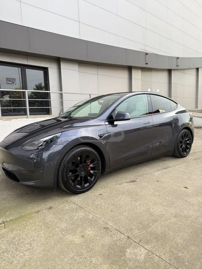 Tesla Model Y Performance 2022 — миниатюра 2