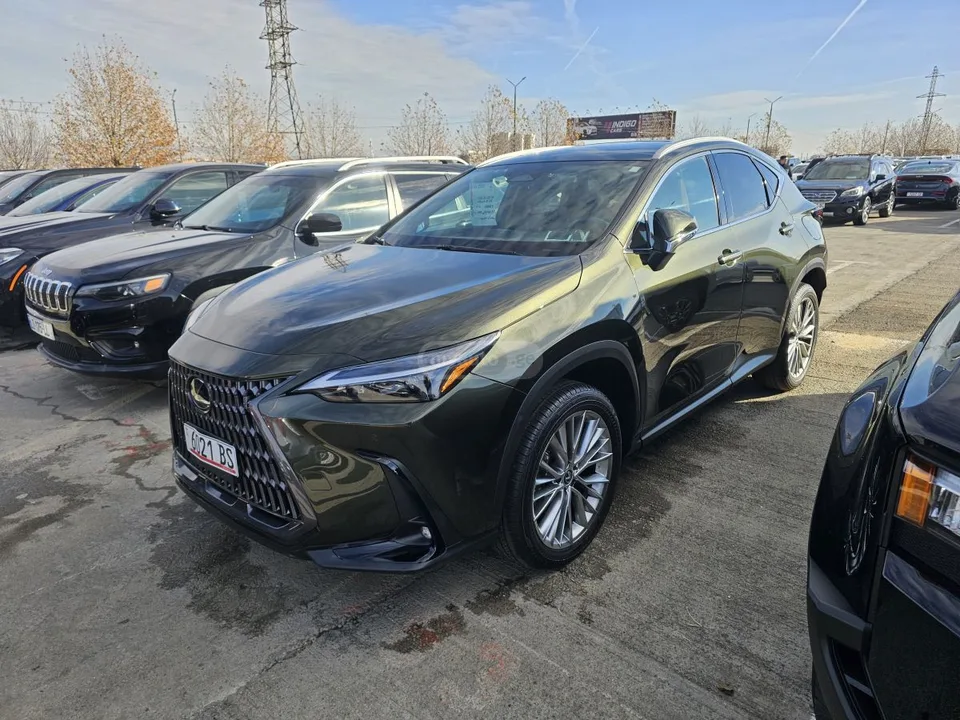 Lexus NX 350 LEXUS NX350H 2024 — миниатюра 2