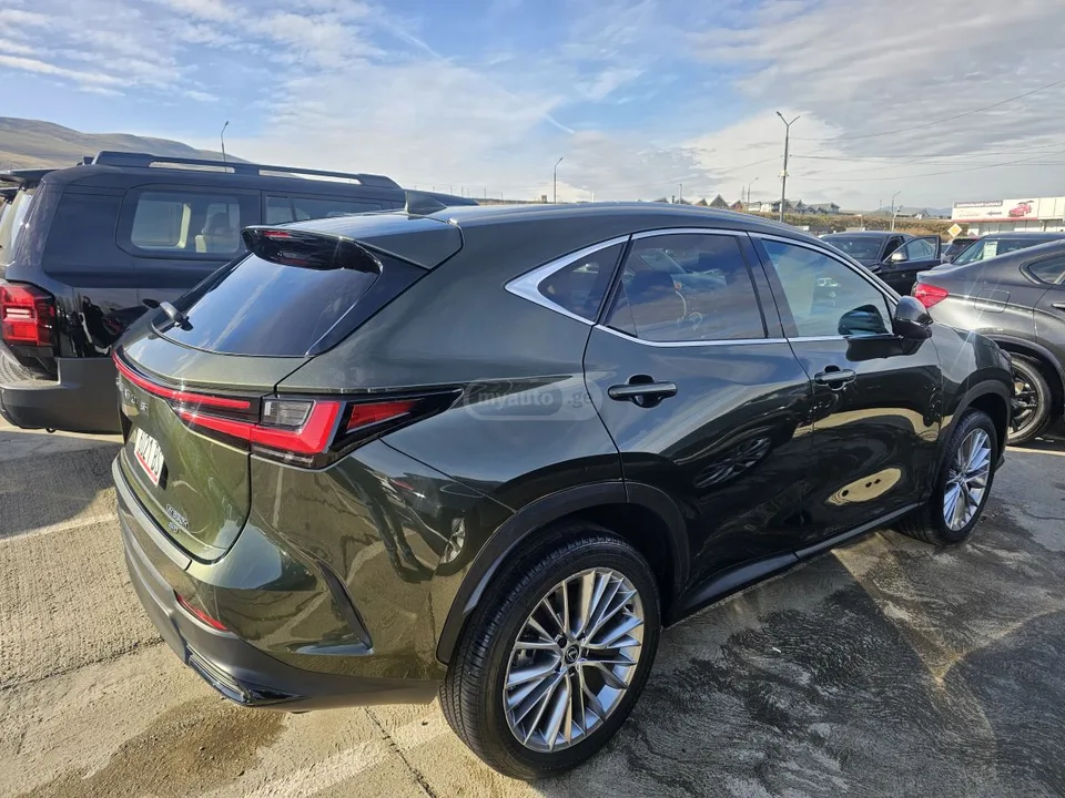 Lexus NX 350 LEXUS NX350H 2024 — миниатюра 5