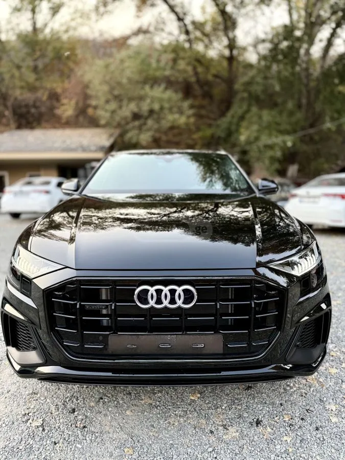 Audi Q8 2023 — миниатюра 2