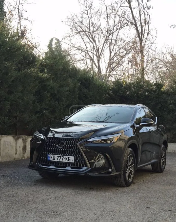 Lexus NX 350 2024 — миниатюра 2