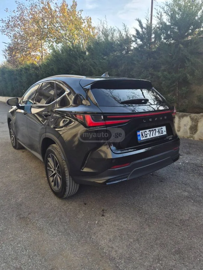 Lexus NX 350 2024 — миниатюра 4