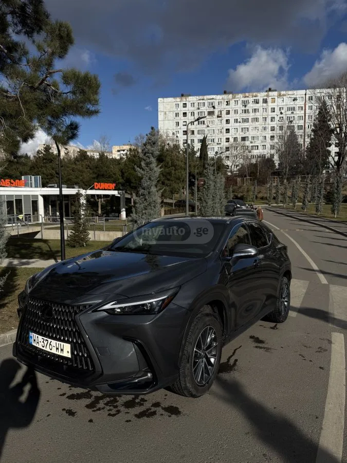 Lexus NX 250 Premium 2024 — миниатюра 2