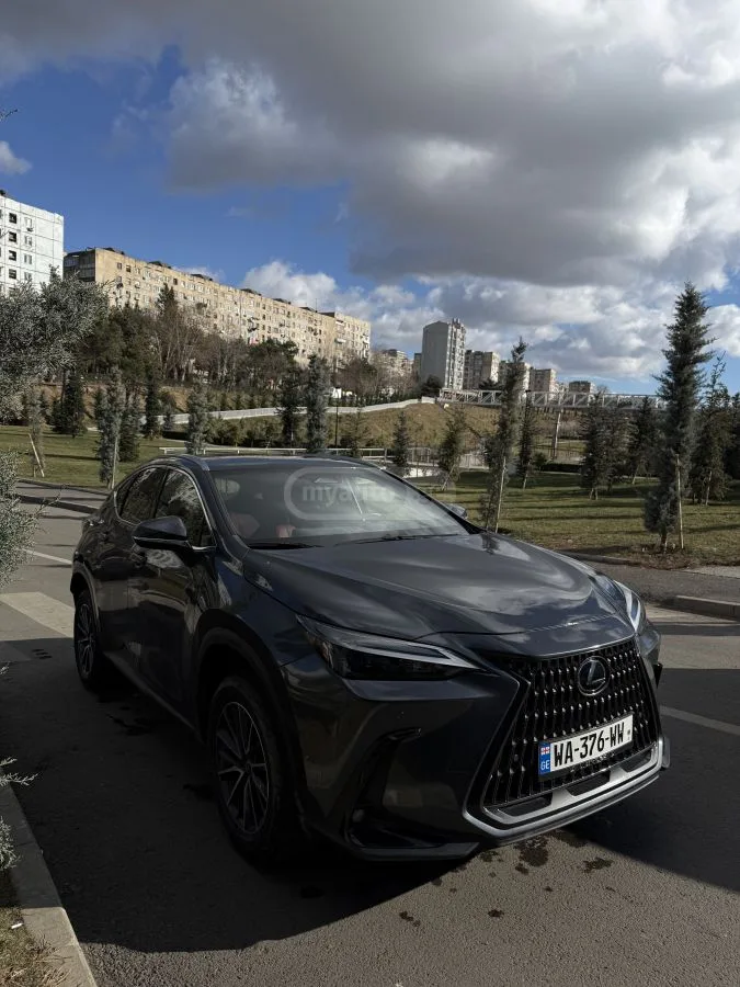 Lexus NX 250 Premium 2024 — миниатюра 3