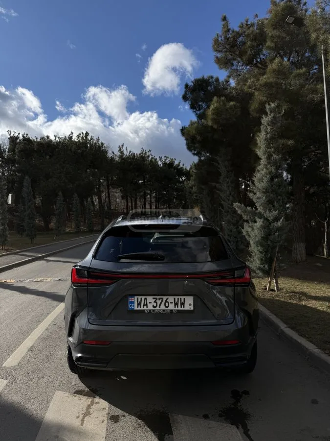 Lexus NX 250 Premium 2024 — миниатюра 5