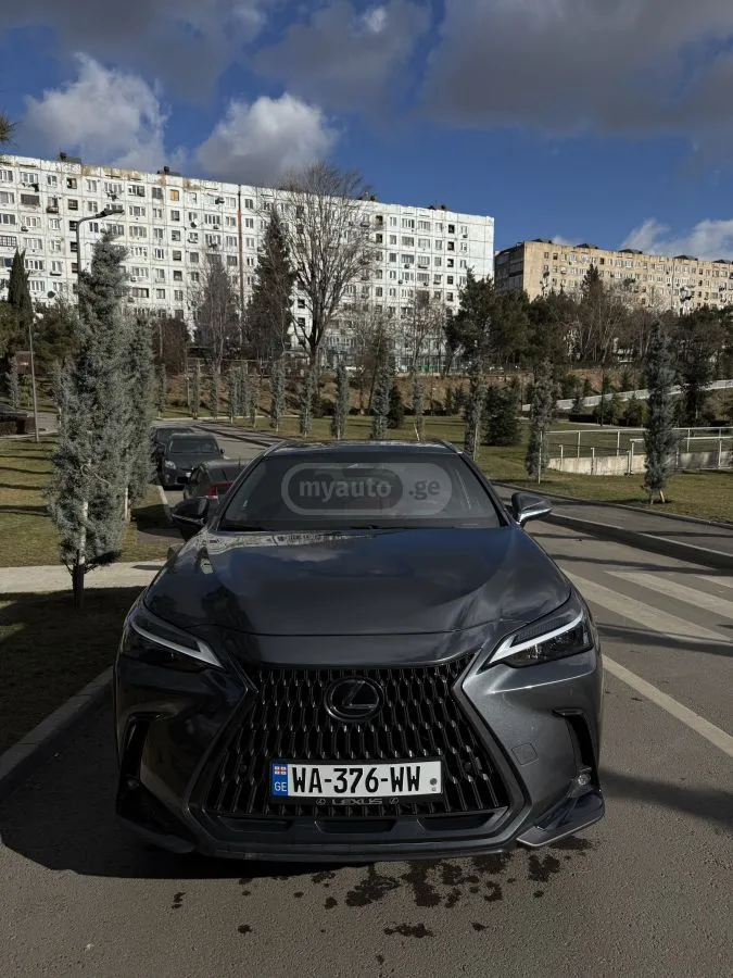 Lexus NX 250 Premium 2024 — фото 1, купить с доставкой в Москву