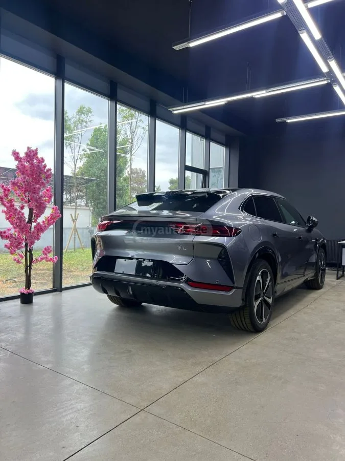BYD Song L 2025 — миниатюра 5