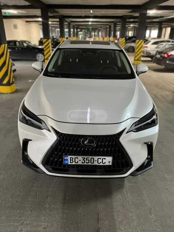 Lexus NX 350 2023 — миниатюра 2