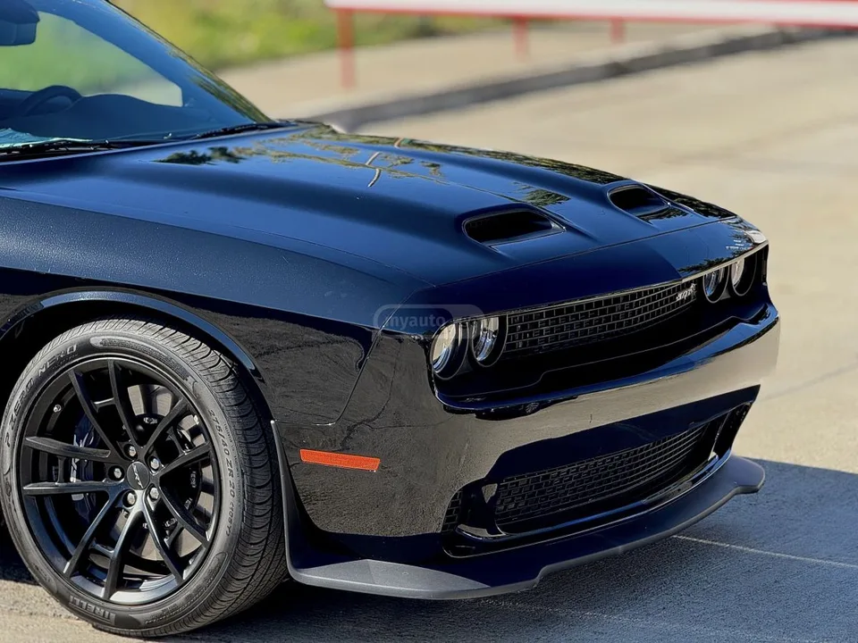Dodge Challenger 2023 — фото 1, купить с доставкой в Москву