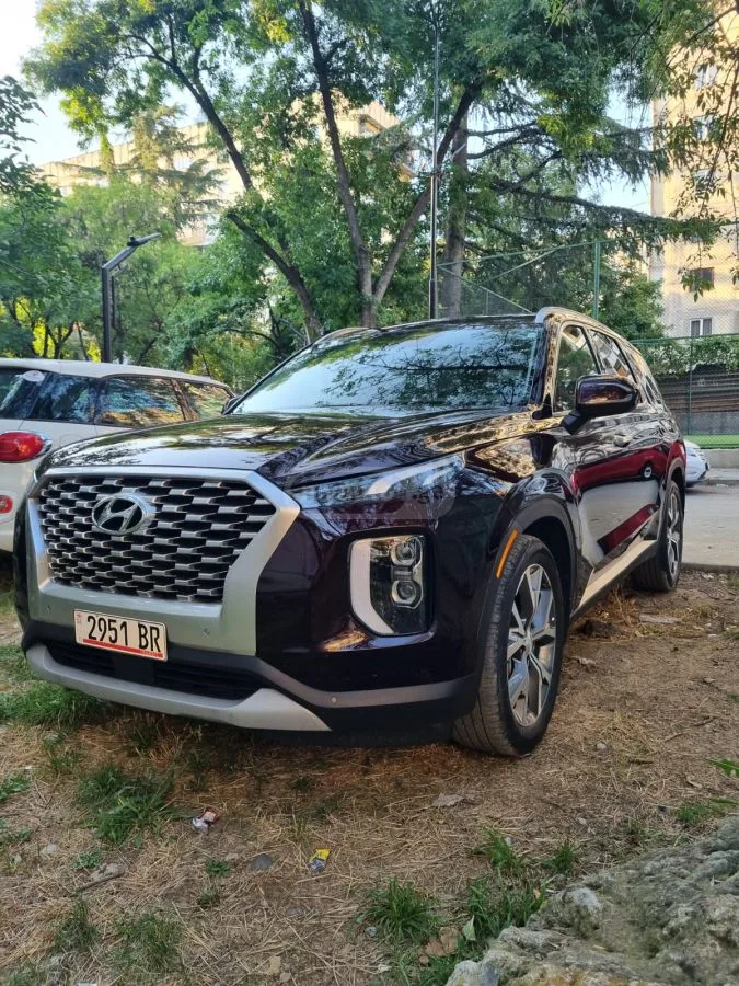Hyundai Palisade 2022 — миниатюра 2