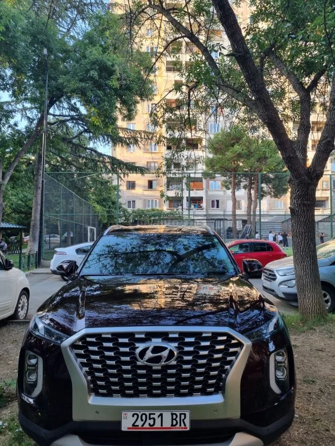 Hyundai Palisade 2022 — фото 1, купить с доставкой в Москву