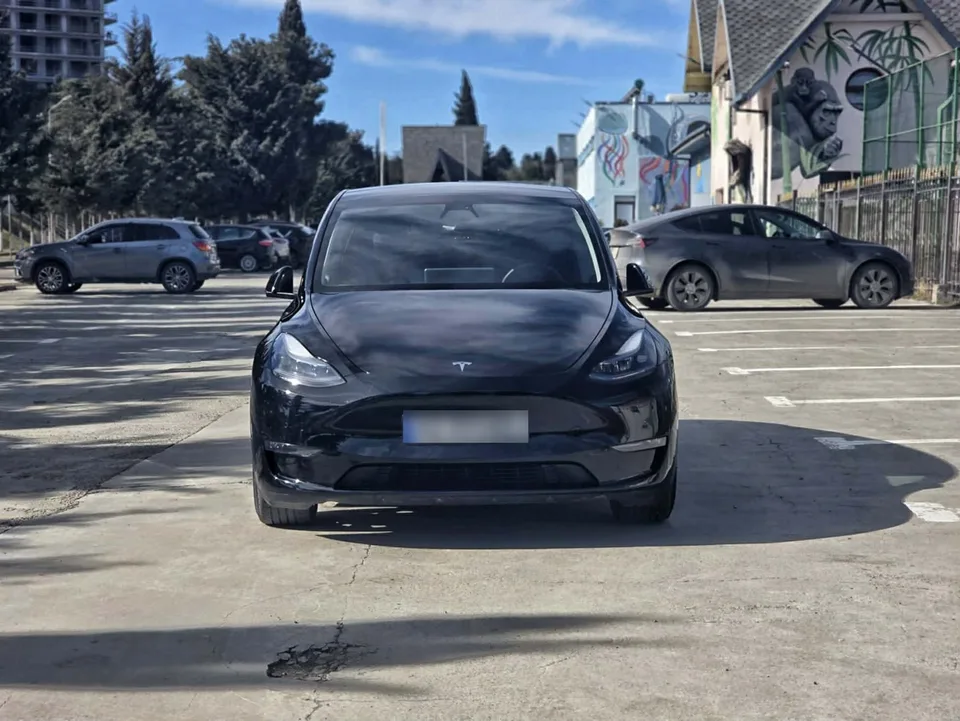 Tesla Model Y Performance 2022 — миниатюра 2