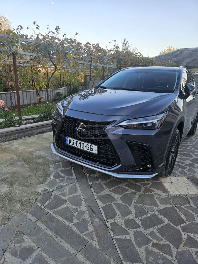 Lexus NX 250 2023 — миниатюра 2