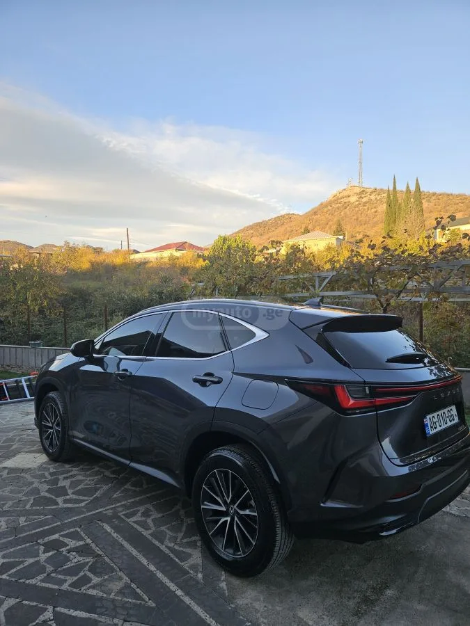 Lexus NX 250 2023 — миниатюра 4