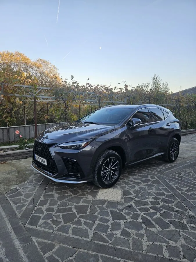 Lexus NX 250 2023 — фото 1, купить с доставкой в Москву