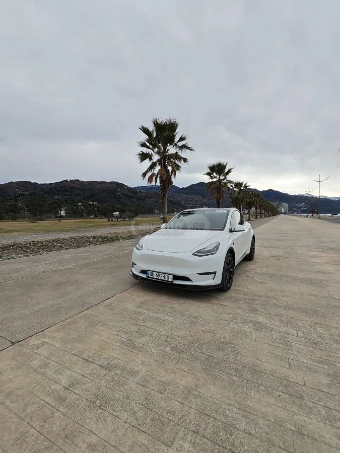 Tesla Model Y Dual motor long range 2022 — миниатюра 5