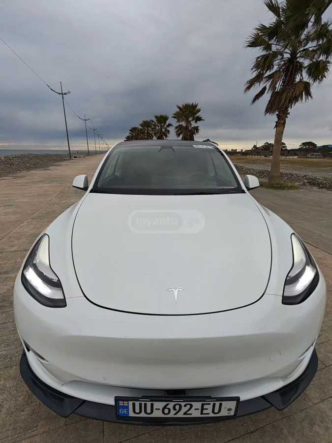 Tesla Model Y Dual motor long range 2022 — фото 1, купить с доставкой в Москву