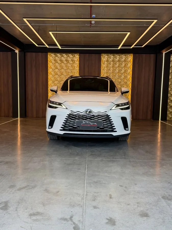 Lexus RX 350 Luxury 4dr Front-Wheel Drive A 2023 — миниатюра 2
