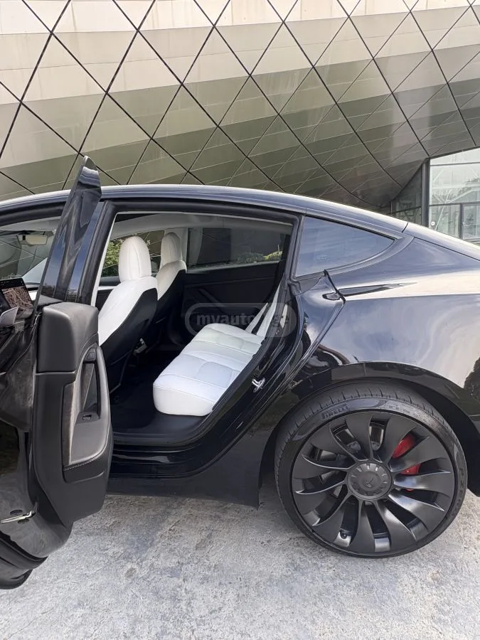 Tesla Model 3 Performance 2022 — миниатюра 3