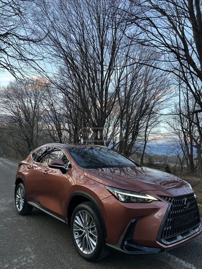 Lexus NX 350 2024 — миниатюра 2