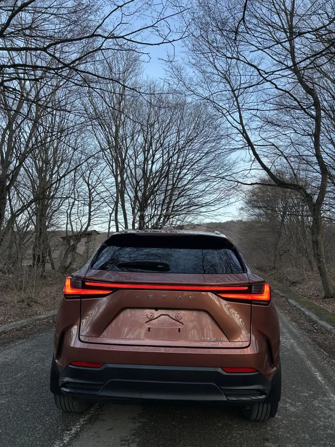 Lexus NX 350 2024 — миниатюра 3