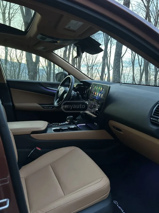 Lexus NX 350 2024 — миниатюра 4