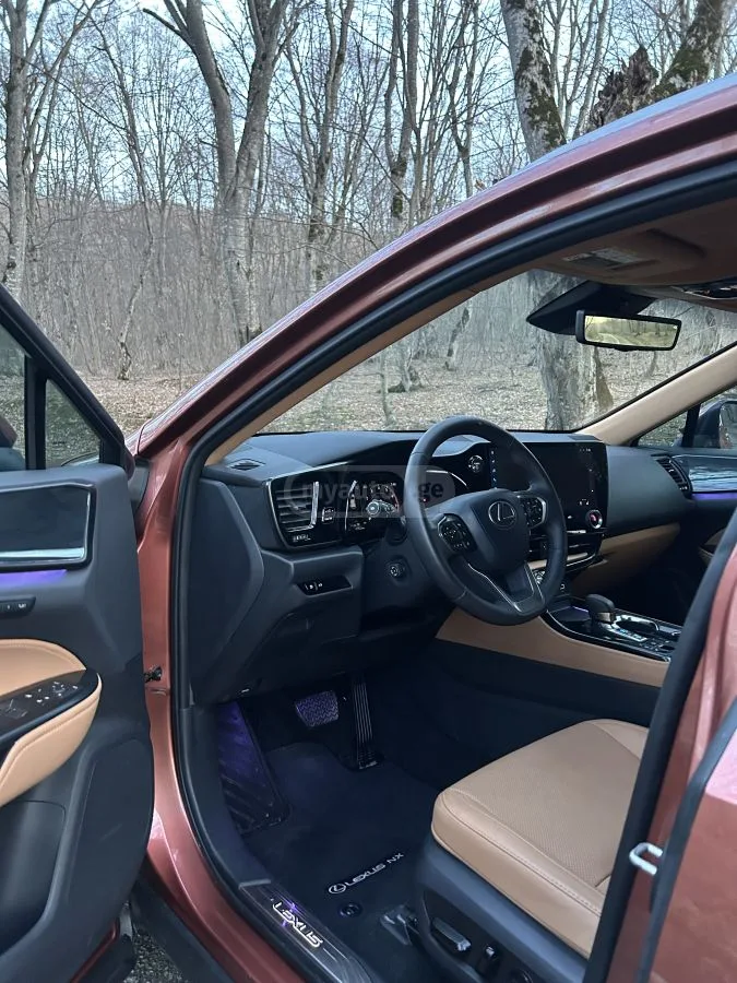 Lexus NX 350 2024 — миниатюра 5