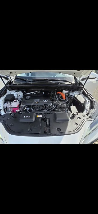 Lexus NX 350 2024 — миниатюра 4