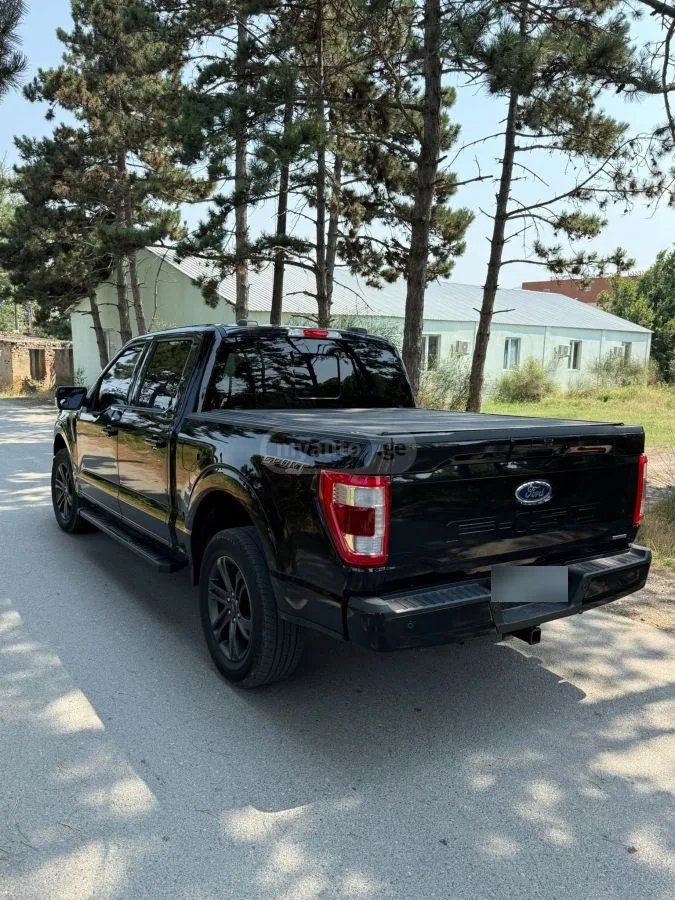 Ford F-150 2022 — миниатюра 4