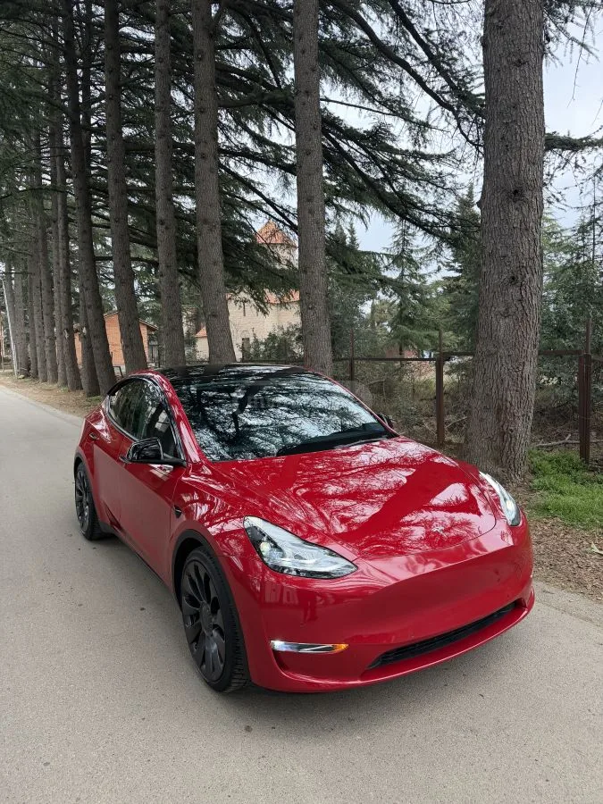 Tesla Model Y 2022 — миниатюра 2